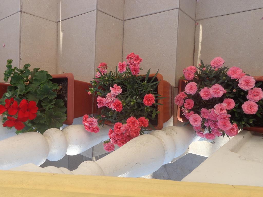 Guest House Ivana Tivat Exterior foto
